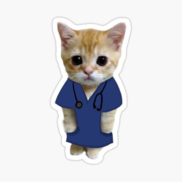 Doctor Cat_ Sticker