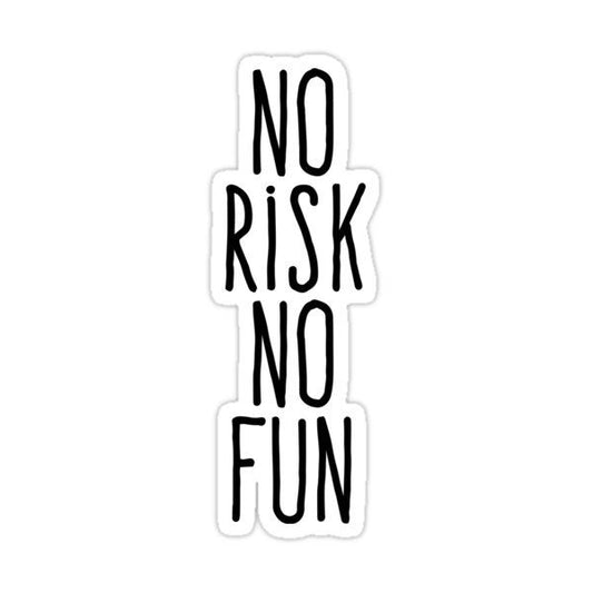 NO RISK NO FUN - Sticker