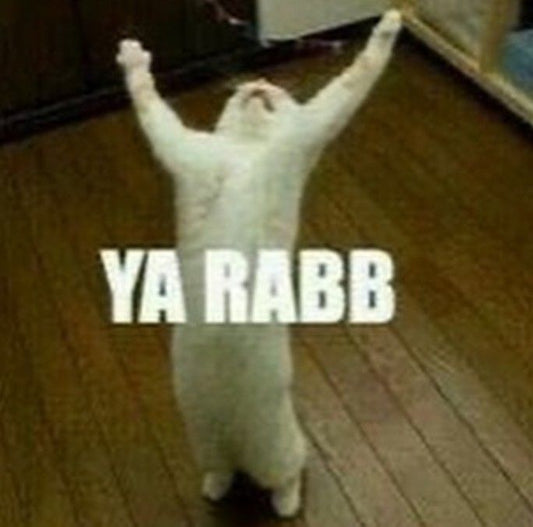 YA RABB - Sticker