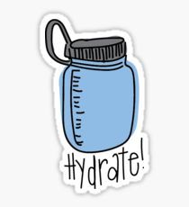Stay Hydrate! - Sticker