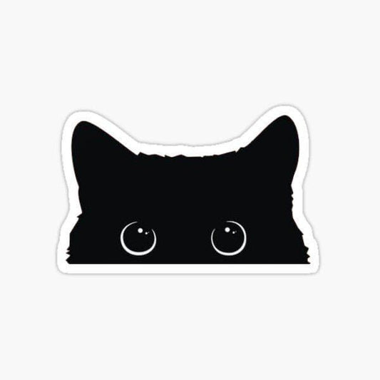 I`M Looking